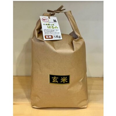 令和6年産 小田原の米「はるみ」玄米 15kg(5kg×3袋)