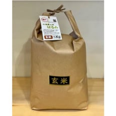 令和5年産 小田原の米「はるみ」玄米 20kg(5kg&times;4袋)