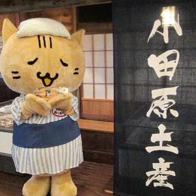 小田原お堀端万葉の湯　ペア入館券・万葉御膳・貸部屋・貸切風呂付きプラン