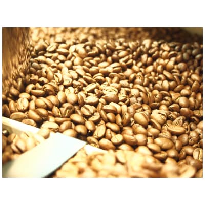 菜の花リキッドコーヒーセット