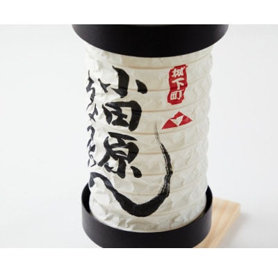 小田原提灯 大 計1個