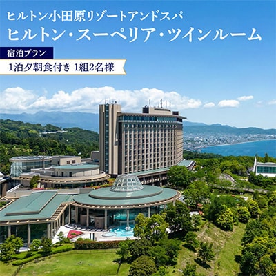 ヒルトン・スーペリア・ツインルーム 1泊夕朝食付き宿泊プラン<1組2名様>オーシャンビュー&温泉