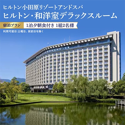 ヒルトン・和洋室デラックスルーム　1泊夕朝食付き宿泊プラン<1組2名様>オーシャンビュー&温泉