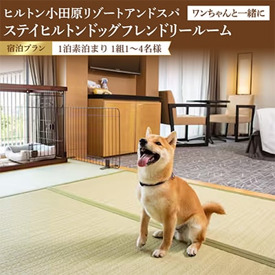 ワンちゃんと一緒にステイ!ヒルトンドッグフレンドリールーム素泊まり宿泊プラン<1組1名～4名様>