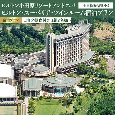 ヒルトン・スーペリア・ツインルーム1泊夕朝食付き宿泊プラン<1組2名様>土日祝利用OK