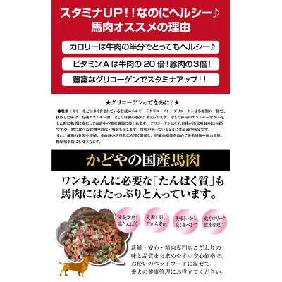ペット用　国産馬肉パラパラミンチ　細挽き1kg(500g×2パック)