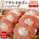 小田原産下中たまねぎのハンバーグ6枚セット(特製たまねぎソース入)