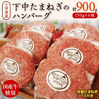 小田原産下中たまねぎのハンバーグ6枚セット(特製たまねぎソース入)