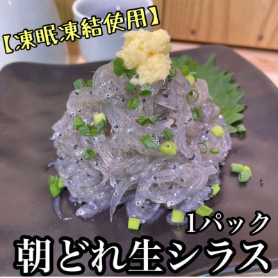 新鮮!朝どれ 生しらす 食べきり1パック【凍眠凍結使用】【神奈川県小田原市早川】