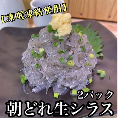 新鮮!朝どれ 生しらす 小 2パック【凍眠凍結使用】【神奈川県小田原市早川】