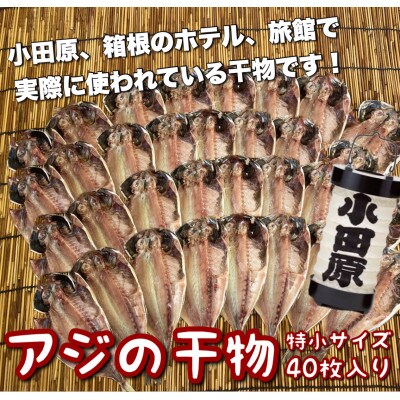 鯵の干物 特小サイズ40枚セット 小田原、箱根のホテル、旅館で使われています【神奈川県小田原市早川】