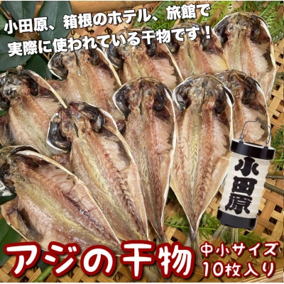 鯵の干物 中小サイズ10枚セット 小田原、箱根のホテル、旅館で使われています【神奈川県小田原市早川】