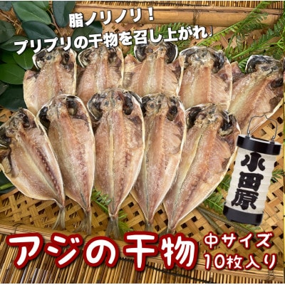 鯵の干物 中サイズ 10枚セット 程よいサイズで朝食にも夕食にも使いやすい!【神奈川県小田原市早川】