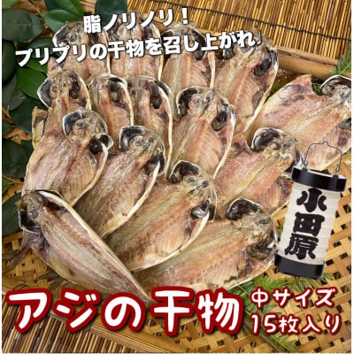 鯵の干物 中サイズ 15枚セット 程よいサイズで朝食にも夕食にも使いやすい!【神奈川県小田原市早川】