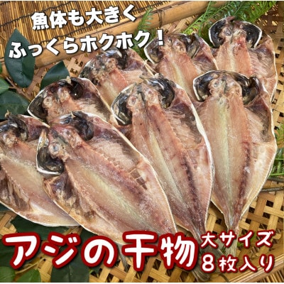 鯵の干物 大サイズ 8枚セット 身が大きく、脂の乗った鯵は夕食にピッタリ!【神奈川県小田原市早川】