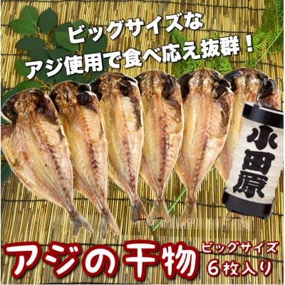 鯵の干物 ビッグ 6枚セット 身が大きく、脂の乗った鯵は夕食にピッタリ!【神奈川県小田原市早川】