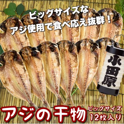 鯵の干物 ビッグサイズ 12枚 身が大きく、脂の乗った鯵は夕食にピッタリ!【神奈川県小田原市早川】