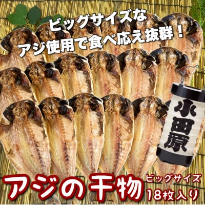 鯵の干物 ビッグサイズ 18枚 身が大きく、脂の乗った鯵は夕食にピッタリ!【神奈川県小田原市早川】
