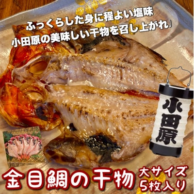 金目鯛の干物 大5枚入り大きいサイズで夕食にピッタリ、ホクホクの身が美味しい【神奈川県小田原市早川】