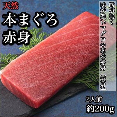 天然本鮪 赤身 1柵 約200g 貴重な天然まぐろの赤身の部位【天身】を使用!【神奈川県小田原早川】