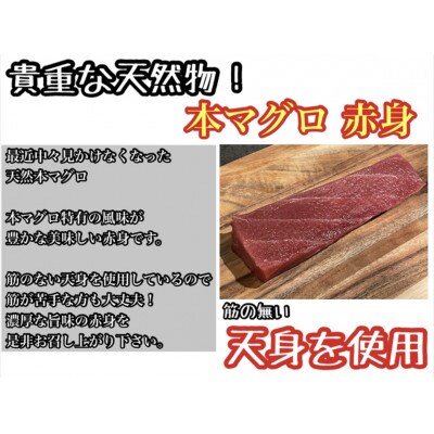 天然本鮪 赤身 1柵 約200g 貴重な天然まぐろの赤身の部位【天身】を使用!【神奈川県小田原早川】