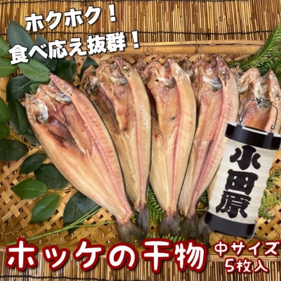 真ほっけの干物 中 5枚入り ホクホクの身は日本酒、焼酎のお供にピッタリ!【神奈川県小田原市早川】