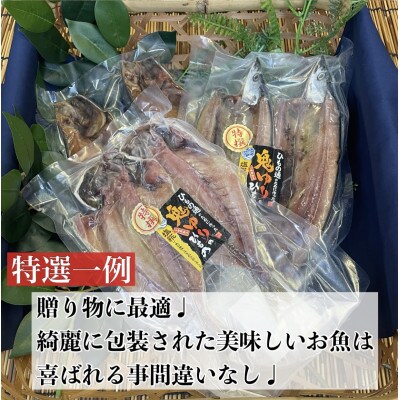 特選!お任せ干物セット【竹】ご飯のお供は勿論、日本酒、焼酎のアテにピッタリ!【神奈川県小田原市早川】