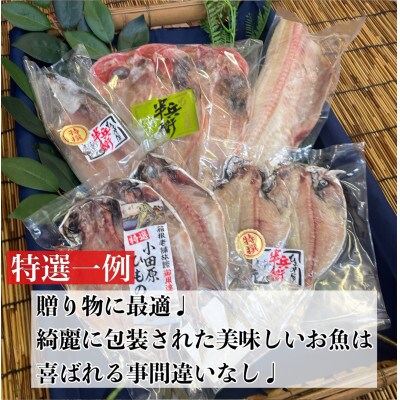 特選!お任せ干物セット【松】ご飯のお供は勿論、日本酒、焼酎のアテにピッタリ!【神奈川県小田原市早川】