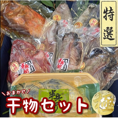 特選!お任せ干物セット【極】ご飯のお供は勿論、日本酒、焼酎のアテにピッタリ!【神奈川県小田原市早川】