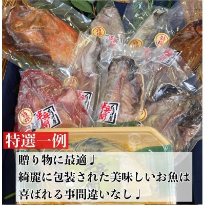 特選!お任せ干物セット【極】ご飯のお供は勿論、日本酒、焼酎のアテにピッタリ!【神奈川県小田原市早川】