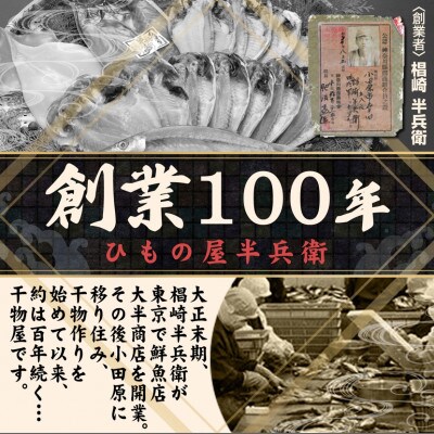 訳あり!お任せ干物セット【竹】ご飯のお供は勿論、日本酒、焼酎のアテにピッタリ!神奈川県小田原市早川