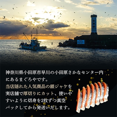 【毎月定期便】【中辛】お弁当やご飯のお供に!厚切り銀鮭 半身1枚(約10枚)全4回