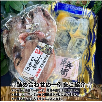 【毎月定期便】厳選!おまかせ干物セット【梅】小田原の美味しい干物!【神奈川県小田原市早川】全4回