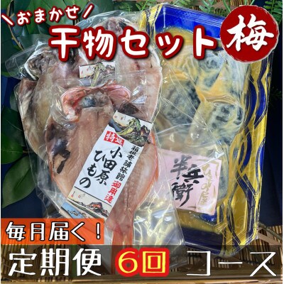 【毎月定期便】厳選!おまかせ干物セット【梅】小田原の美味しい干物!【神奈川県小田原市早川】全6回