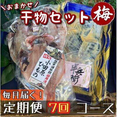 【毎月定期便】厳選!おまかせ干物セット【梅】小田原の美味しい干物!【神奈川県小田原市早川】全7回