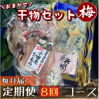 【毎月定期便】厳選!おまかせ干物セット【梅】小田原の美味しい干物!【神奈川県小田原市早川】全8回