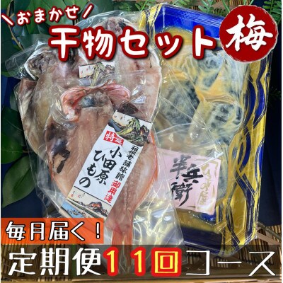 【毎月定期便】厳選!おまかせ干物セット【梅】小田原の美味しい干物!【神奈川県小田原市早川】全11回