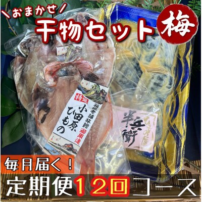 【毎月定期便】厳選!おまかせ干物セット【梅】小田原の美味しい干物!【神奈川県小田原市早川】全12回