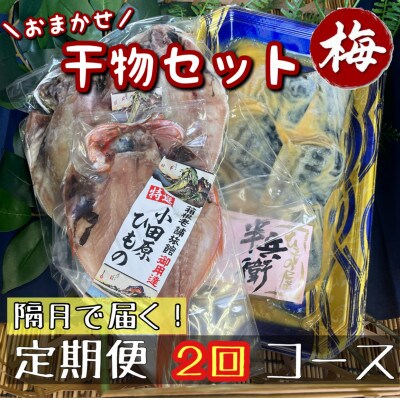 【2ヵ月毎定期便】厳選!おまかせ干物セット【梅】小田原の美味しい干物!【神奈川県小田原市早川】全2回