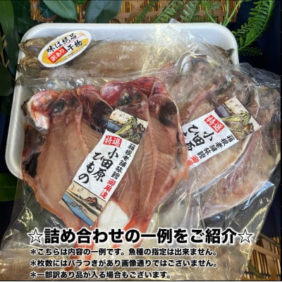 【2ヵ月毎定期便】厳選!おまかせ干物セット【梅】小田原の美味しい干物!【神奈川県小田原市早川】全2回