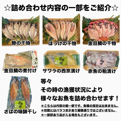 【2ヵ月毎定期便】厳選!おまかせ干物セット【梅】小田原の美味しい干物!【神奈川県小田原市早川】全2回