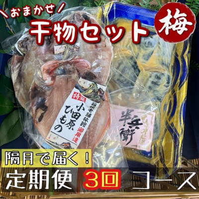 【2ヵ月毎定期便】厳選!おまかせ干物セット【梅】小田原の美味しい干物!【神奈川県小田原市早川】全3回