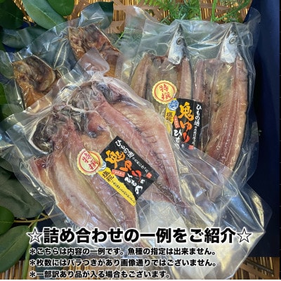 【2ヵ月毎定期便】厳選!おまかせ干物セット【竹】小田原の美味しい干物!【神奈川県小田原市早川】全2回