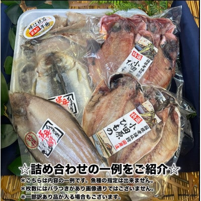 【2ヵ月毎定期便】厳選!おまかせ干物セット【竹】小田原の美味しい干物!【神奈川県小田原市早川】全2回
