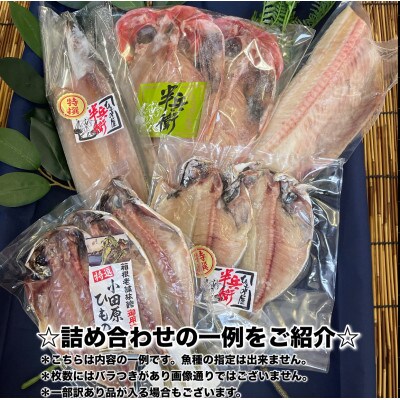 【毎月定期便】厳選!おまかせ干物セット【松】小田原の美味しい干物!【神奈川県小田原市早川】全8回