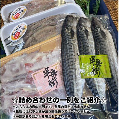 【毎月定期便】厳選!おまかせ干物セット【松】小田原の美味しい干物!【神奈川県小田原市早川】全8回