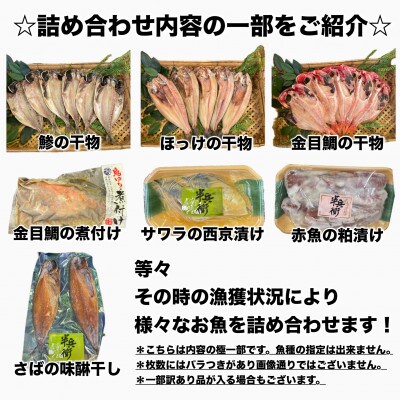 【毎月定期便】厳選!おまかせ干物セット【松】小田原の美味しい干物!【神奈川県小田原市早川】全8回