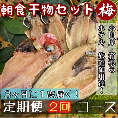 【3ヵ月毎定期便】朝食干物セット【梅】小田原、箱根のホテル、旅館で使用!神奈川県小田原市早川全2回
