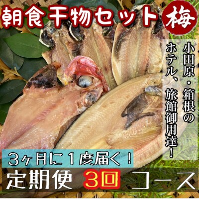 【3ヵ月毎定期便】朝食干物セット【梅】小田原、箱根のホテル、旅館で使用!神奈川県小田原市早川全3回