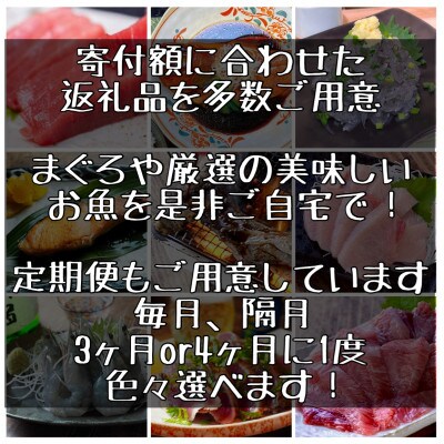 【毎月定期便】朝食干物セット【竹】小田原、箱根のホテル、旅館で使用!【神奈川県小田原市早川】全11回